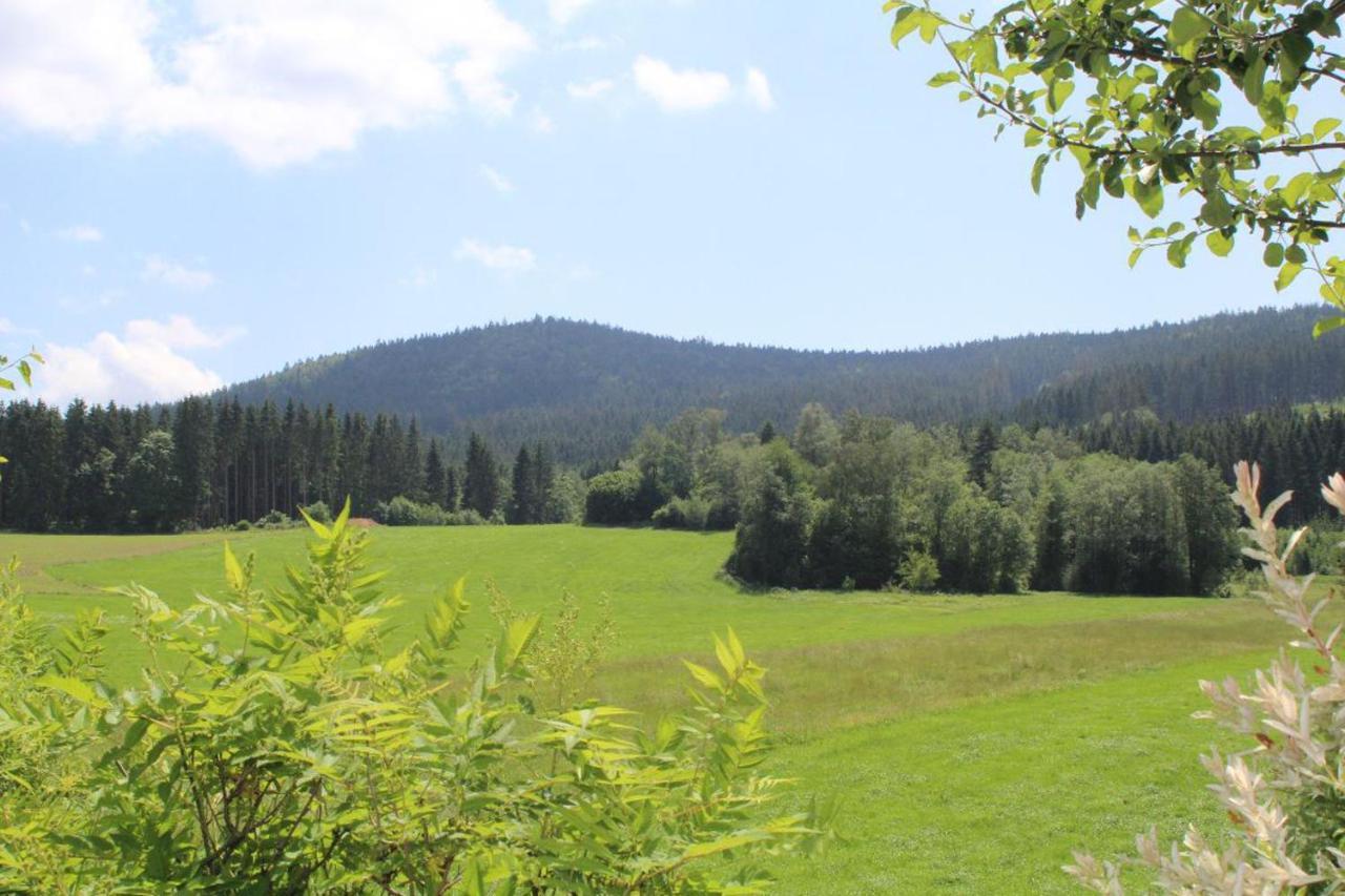 Ferienwohnungen Holzferienhaeuser Leithenwald Zwiesel Kültér fotó
