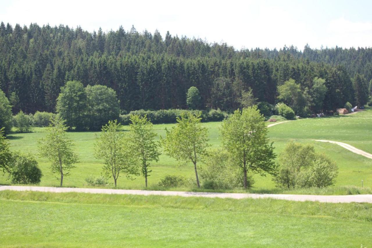 Ferienwohnungen Holzferienhaeuser Leithenwald Zwiesel Kültér fotó