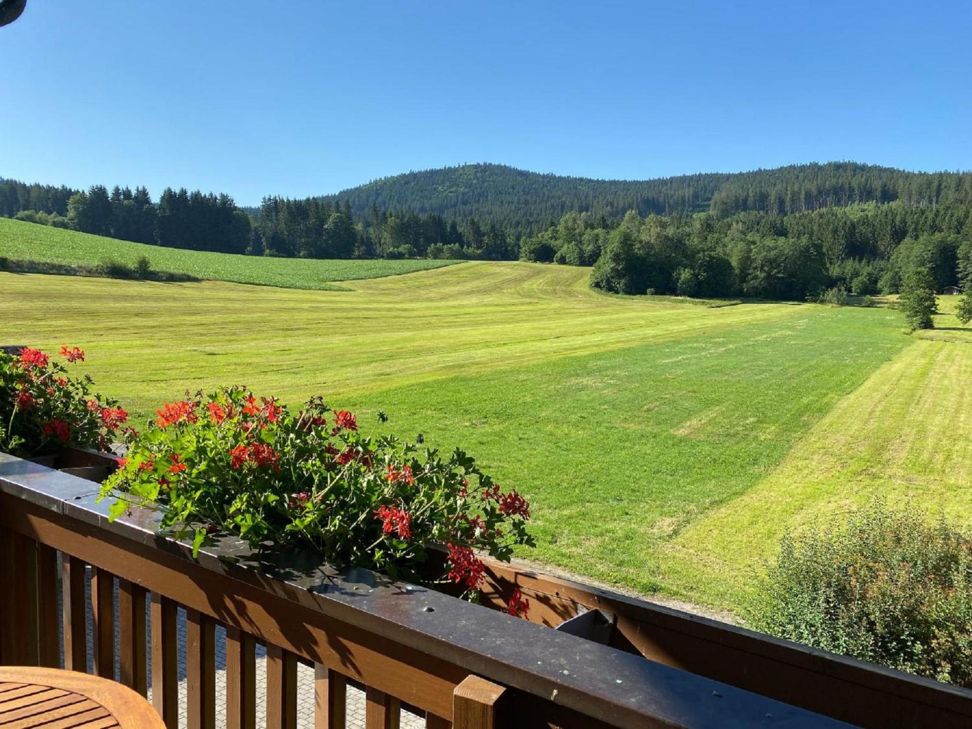 Ferienwohnungen Holzferienhaeuser Leithenwald Zwiesel Kültér fotó