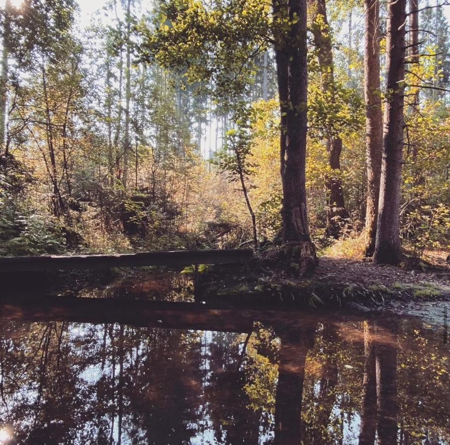 Ferienwohnungen Holzferienhaeuser Leithenwald Zwiesel Kültér fotó